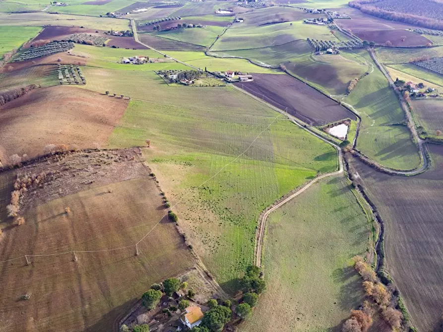 Immagine 3 di Villa in vendita  in Località Cavallini a Manciano