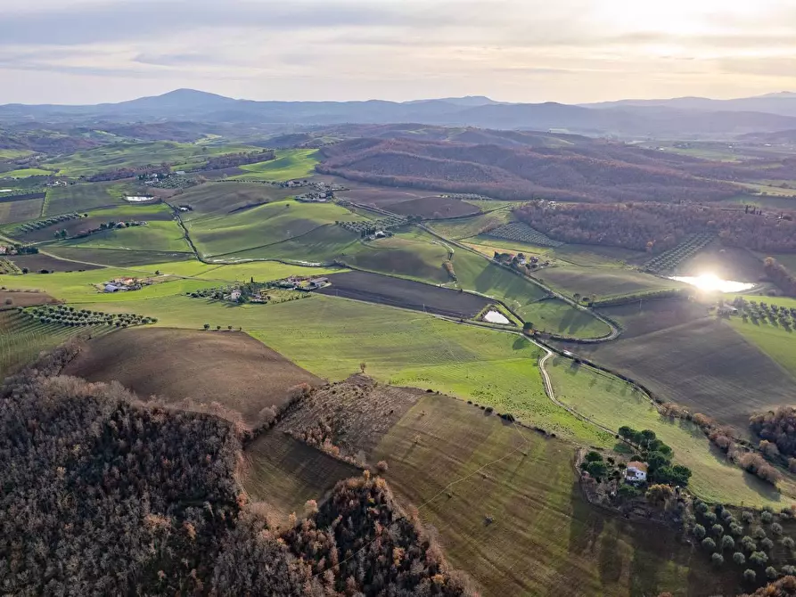 Immagine 5 di Villa in vendita  in Località Cavallini a Manciano