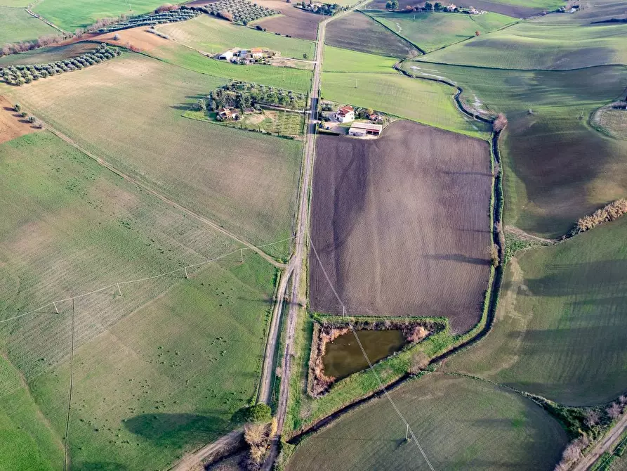 Immagine 6 di Villa in vendita  in Località Cavallini a Manciano