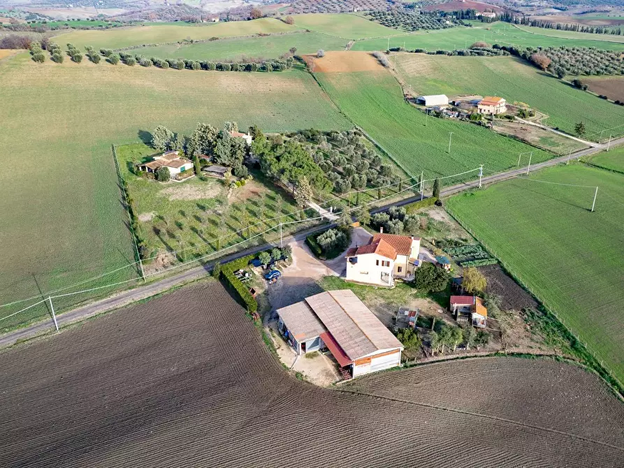 Immagine 7 di Villa in vendita  in Località Cavallini a Manciano