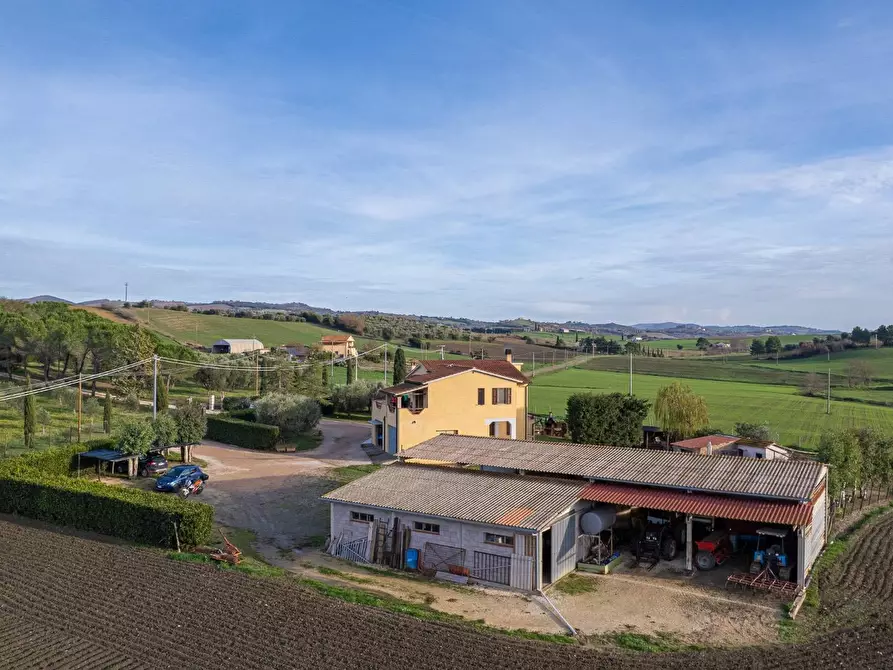 Immagine 11 di Villa in vendita  in Località Cavallini a Manciano