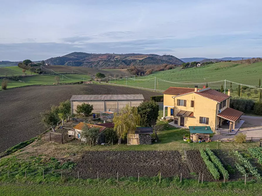 Immagine 12 di Villa in vendita  in Località Cavallini a Manciano