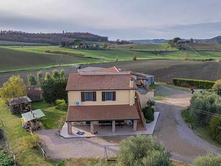 Immagine 13 di Villa in vendita  in Località Cavallini a Manciano