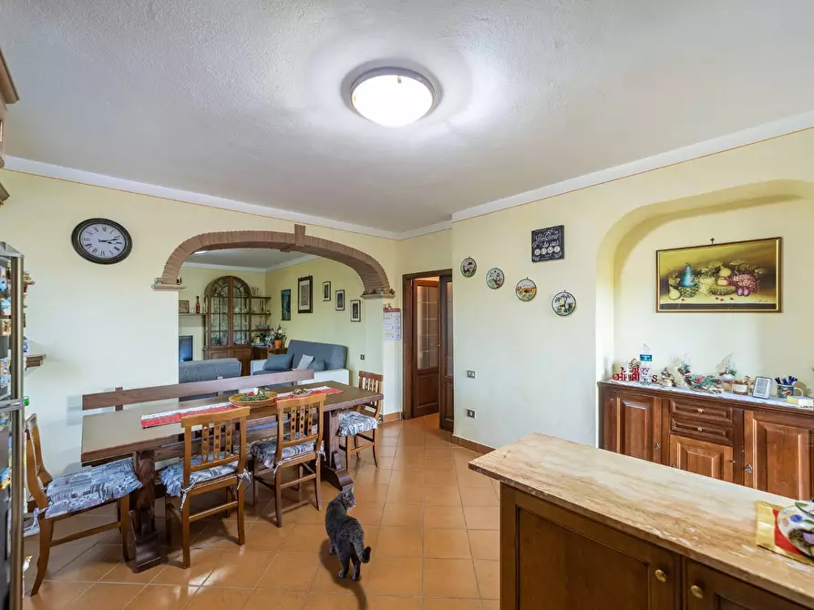Immagine 15 di Villa in vendita  in Località Cavallini a Manciano