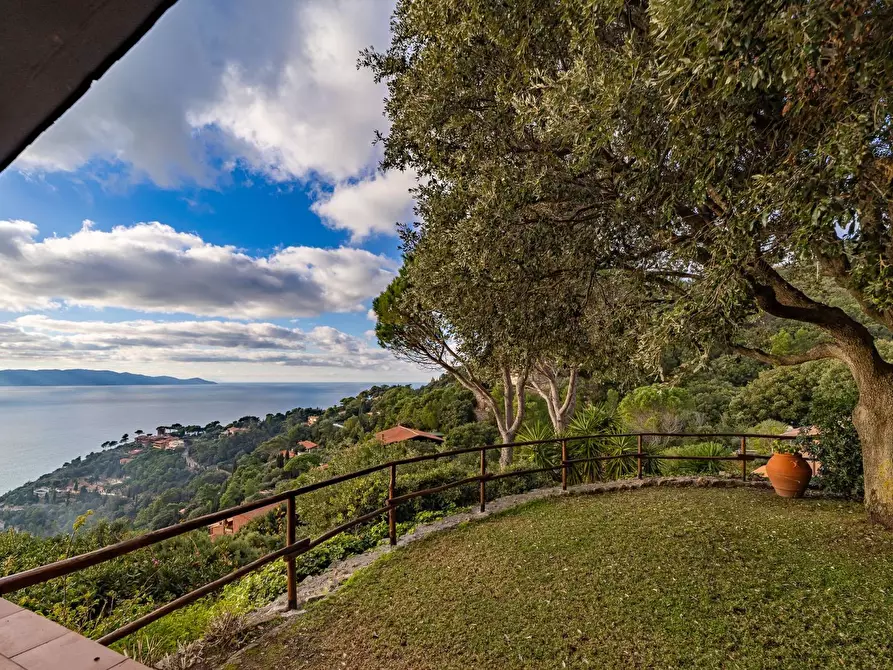 Immagine 1 di Villa in affitto  in cala piccola via del costoone a Monte Argentario