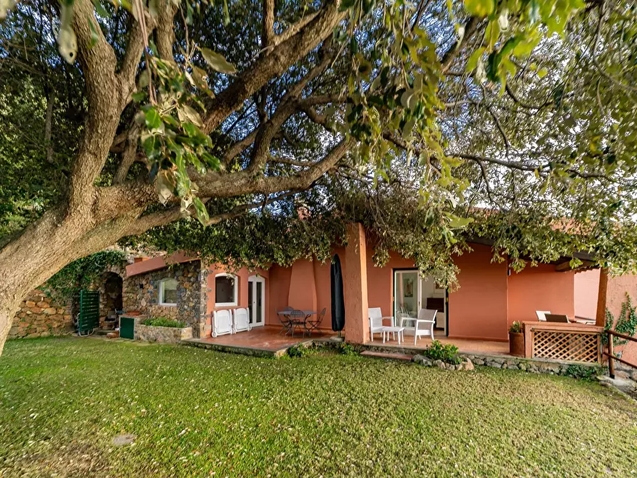 Immagine 4 di Villa in affitto  in cala piccola via del costoone a Monte Argentario