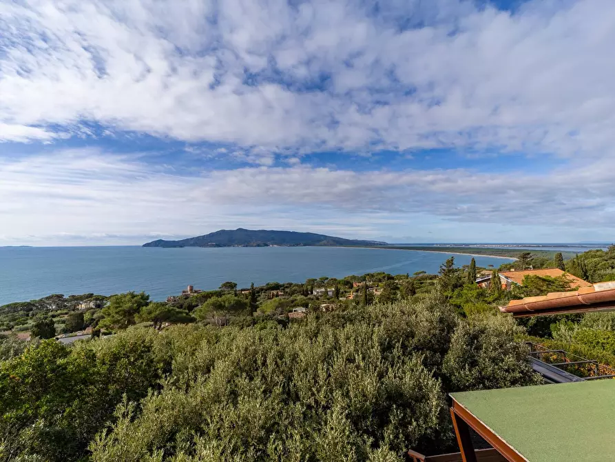 Immagine 30 di Appartamento in affitto  in Via delle Ginestre snc a Orbetello