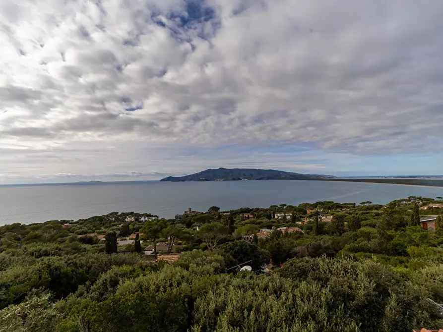 Immagine 33 di Appartamento in affitto  in Via delle Ginestre snc a Orbetello