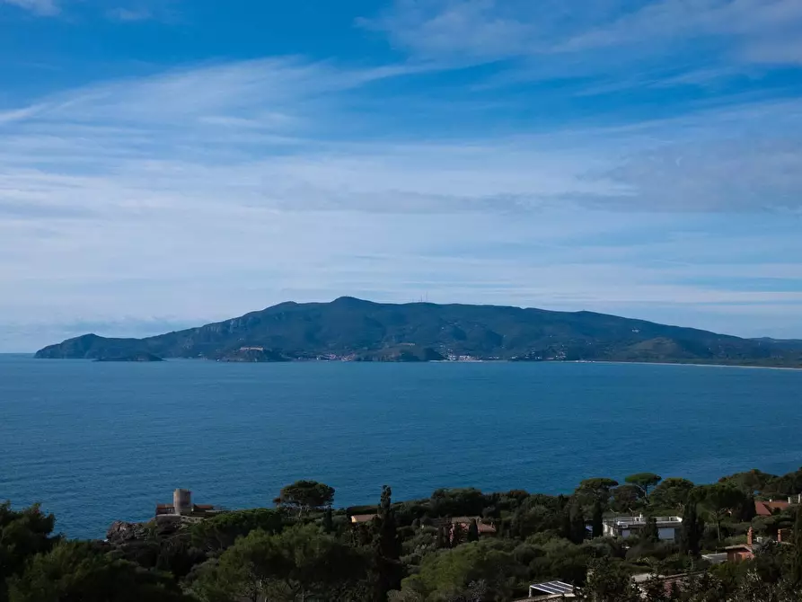 Immagine 3 di Appartamento in affitto  in Via delle Ginestre a Orbetello