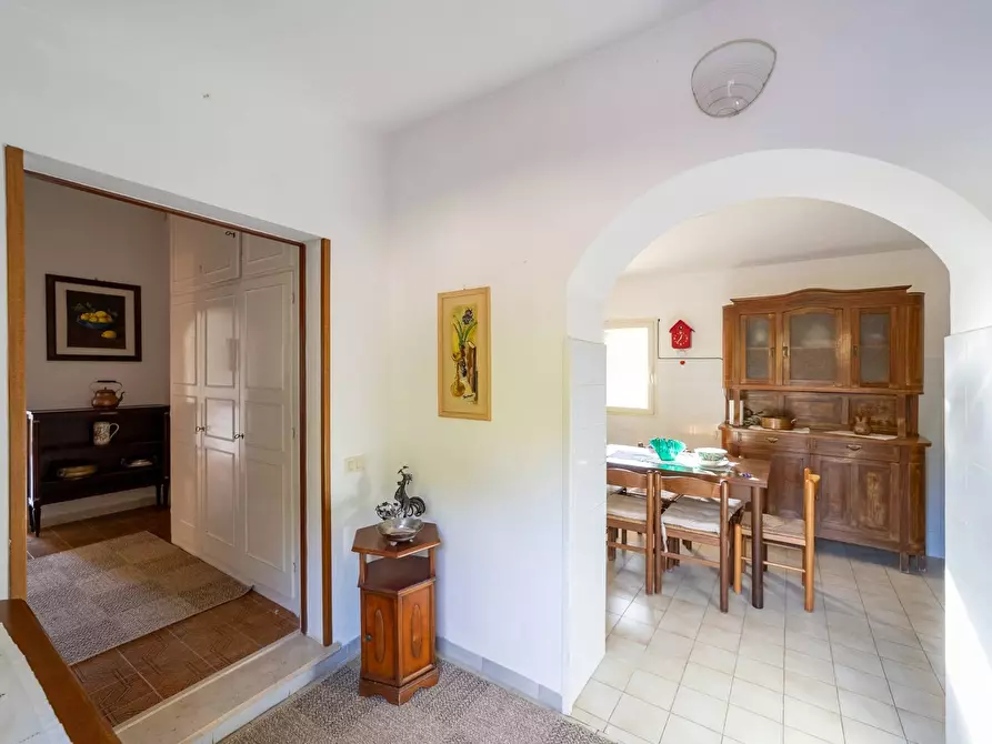Immagine 7 di Villa in affitto  in Via dei Molini snc a Monte Argentario