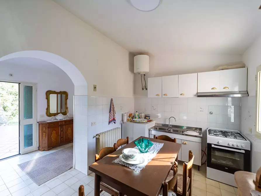 Immagine 9 di Villa in affitto  in Via dei Molini snc a Monte Argentario