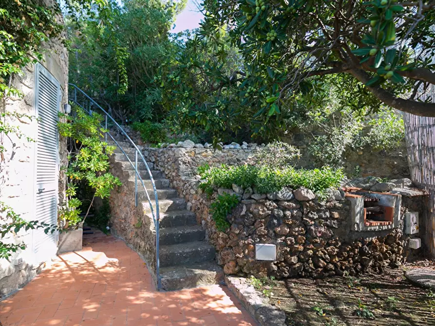 Immagine 45 di Villa in affitto  in Via del Calvello snc a Monte Argentario