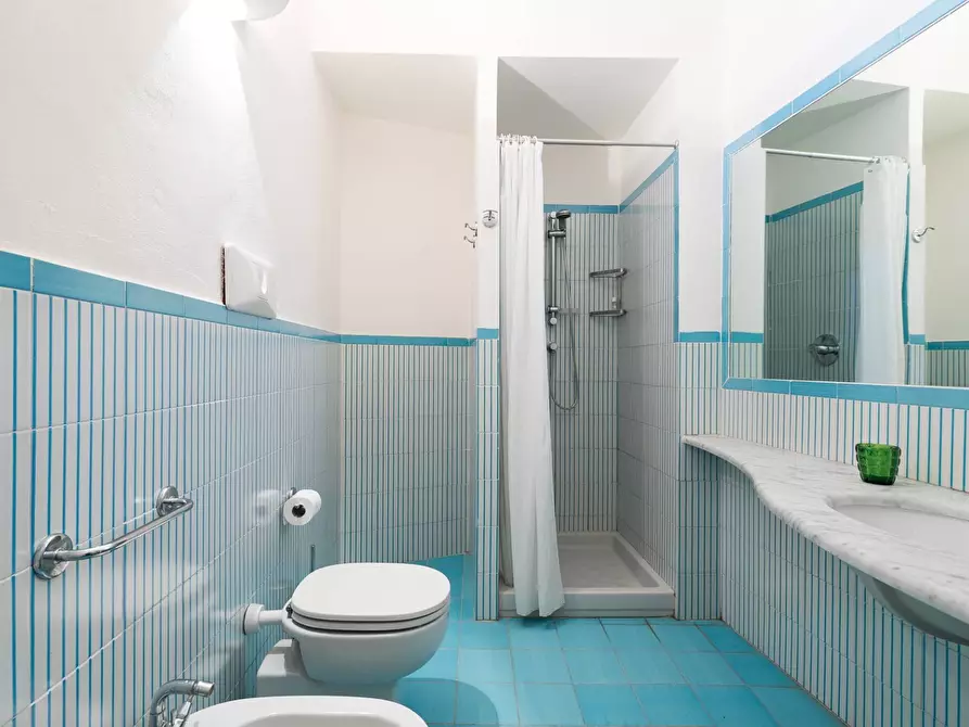 Immagine 25 di Villa in affitto  in Via del Calvello snc a Monte Argentario