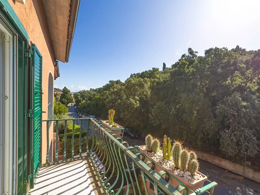 Immagine 15 di Appartamento in affitto  in Via delle Buche snc a Monte Argentario