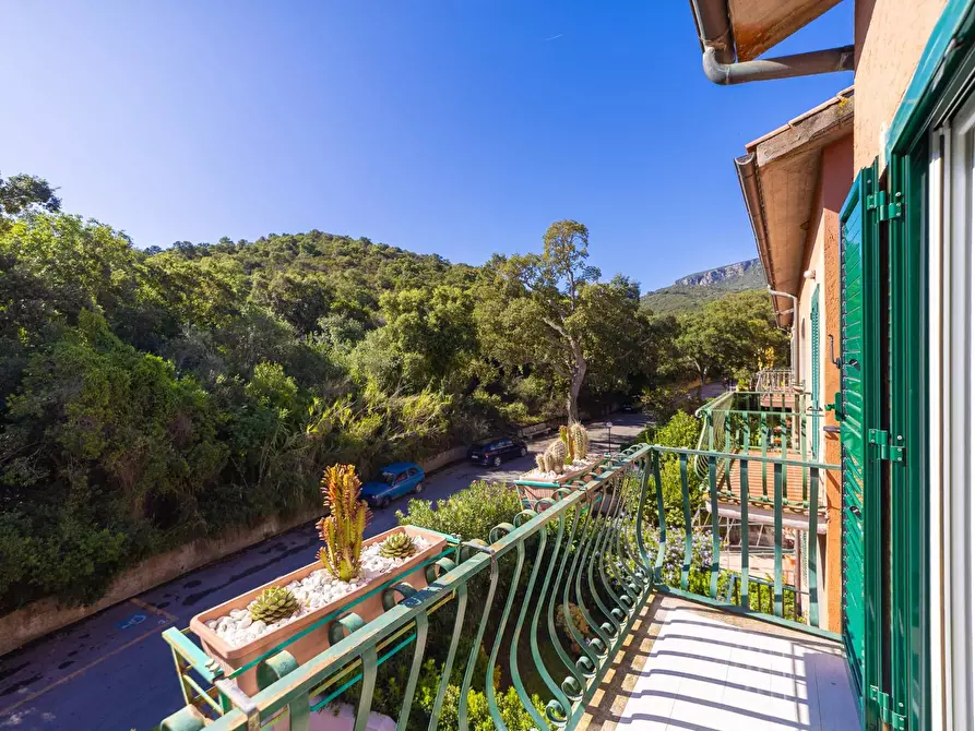 Immagine 16 di Appartamento in affitto  in Via delle Buche snc a Monte Argentario