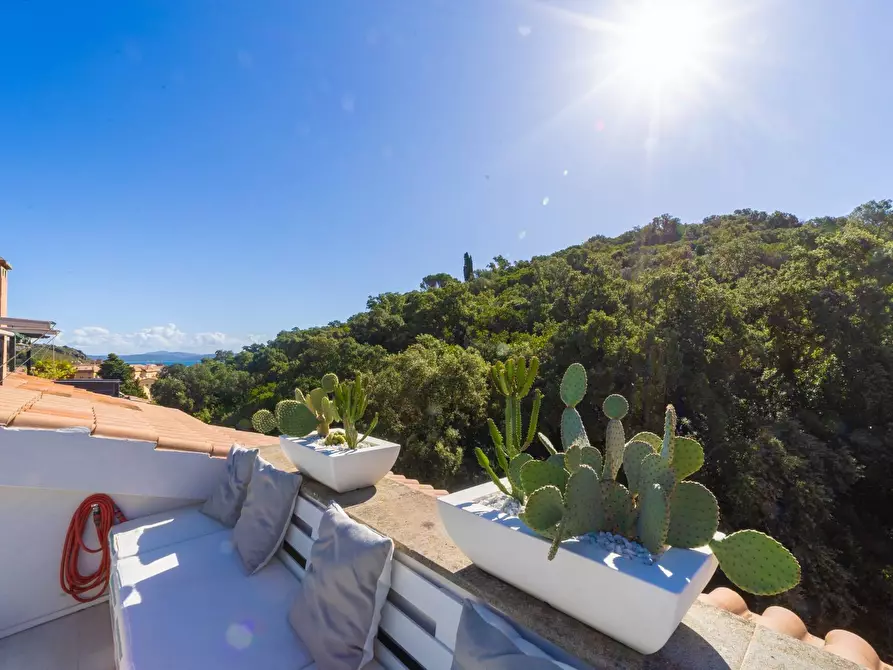 Immagine 25 di Appartamento in affitto  in Via delle Buche snc a Monte Argentario