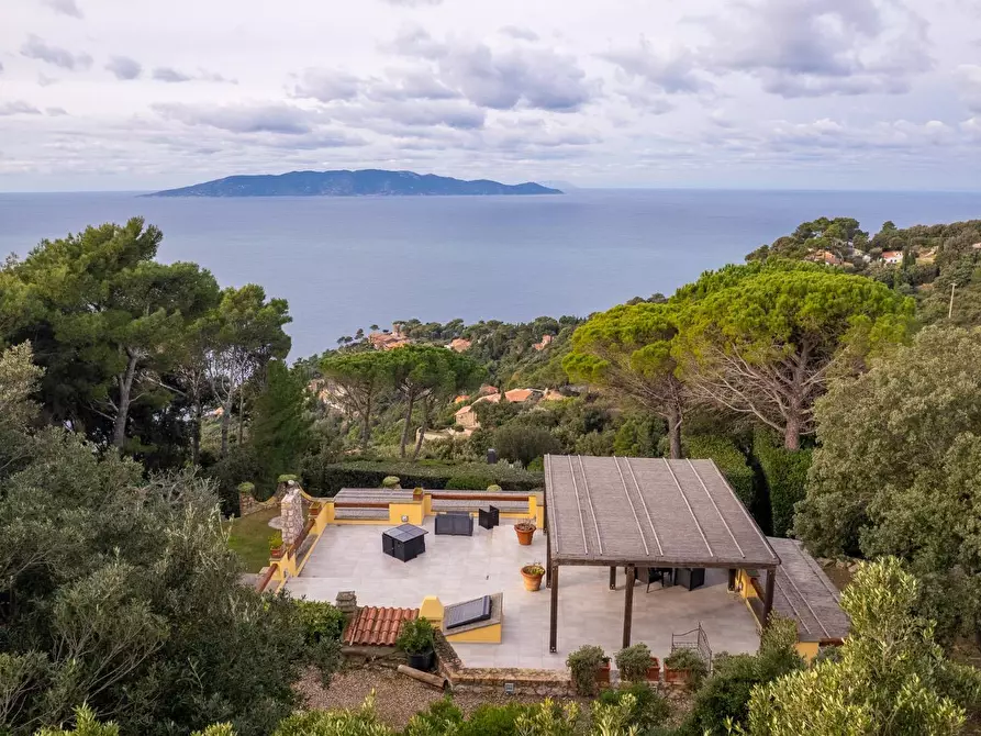 Immagine 1 di Villa in affitto  in via del pero cala piccola a Monte Argentario