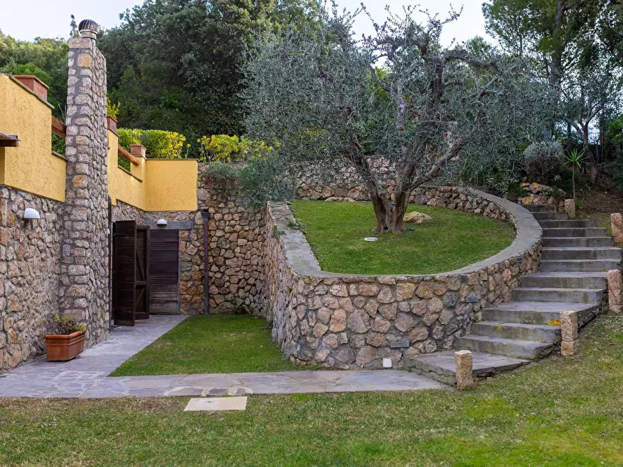 Immagine 5 di Villa in affitto  in via del pero cala piccola a Monte Argentario