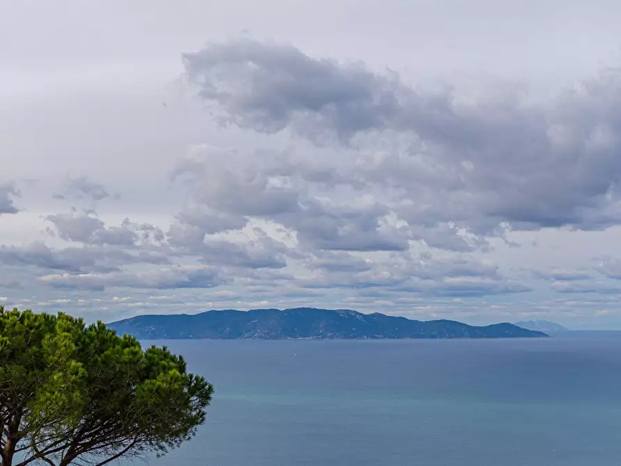 Immagine 15 di Villa in affitto  in via del pero cala piccola a Monte Argentario