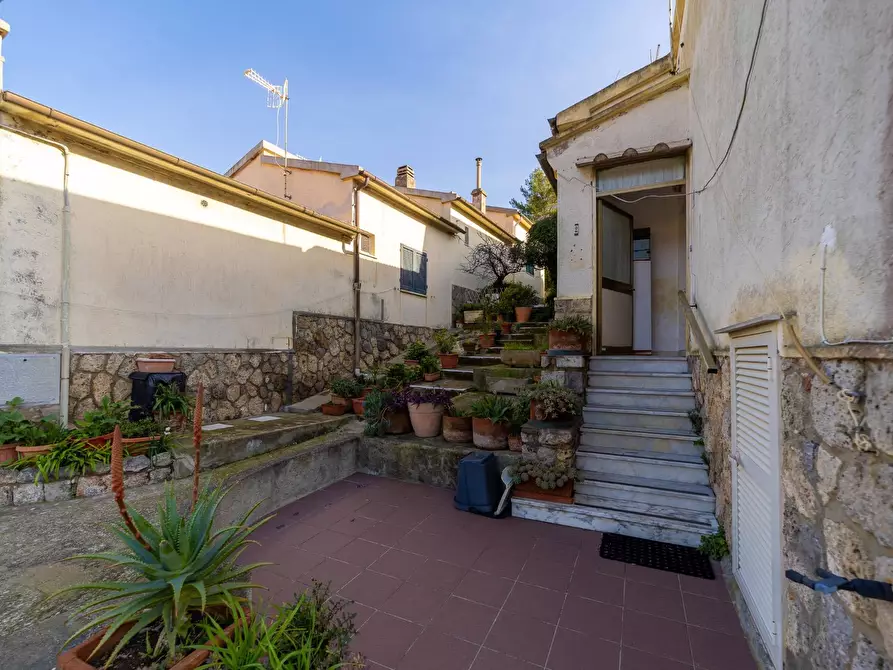 Immagine 4 di Casa indipendente in vendita  in via san rocco a Monte Argentario