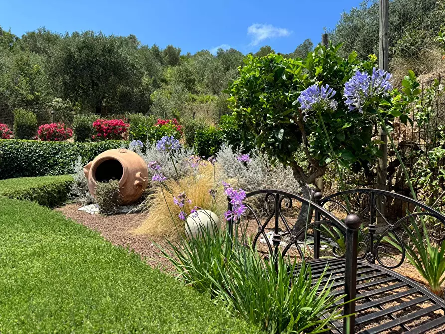 Immagine 6 di Villa in vendita  in Località Pispino snc a Monte Argentario