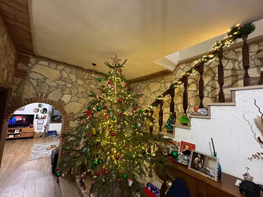 Immagine 12 di Villa in vendita  in Località Pispino snc a Monte Argentario