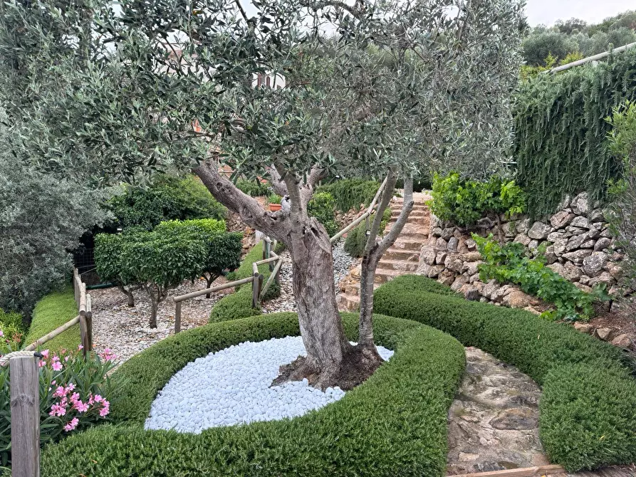 Immagine 19 di Villa in vendita  in Località Pispino snc a Monte Argentario