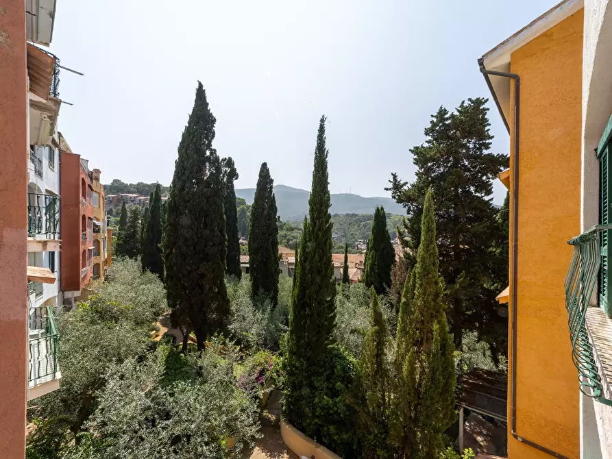 Immagine 19 di Appartamento in affitto  in Viale Caravaggio snc a Monte Argentario