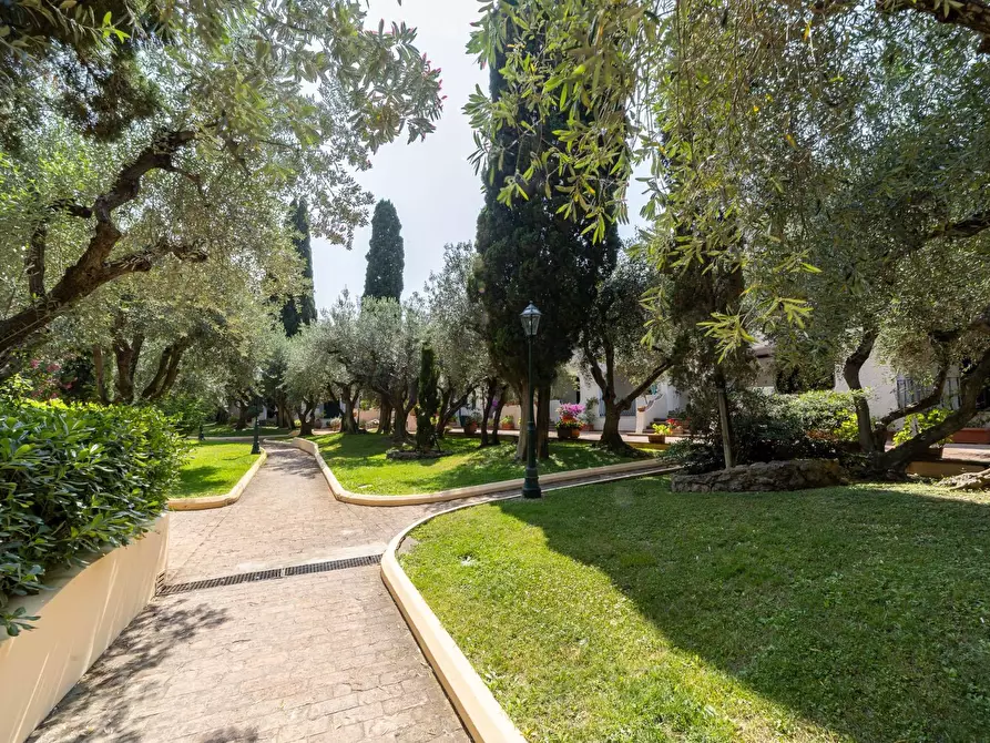 Immagine 8 di Appartamento in affitto  in Viale Caravaggio snc a Monte Argentario