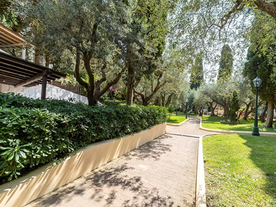 Immagine 20 di Appartamento in affitto  in Viale Caravaggio snc a Monte Argentario