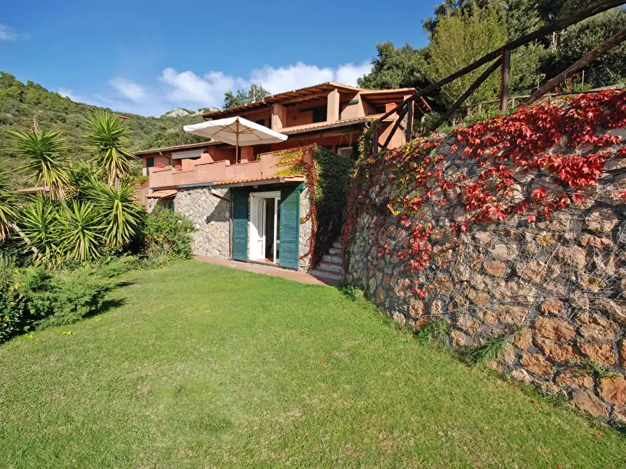 Immagine 17 di Villa in vendita  in Via del Costone snc a Monte Argentario