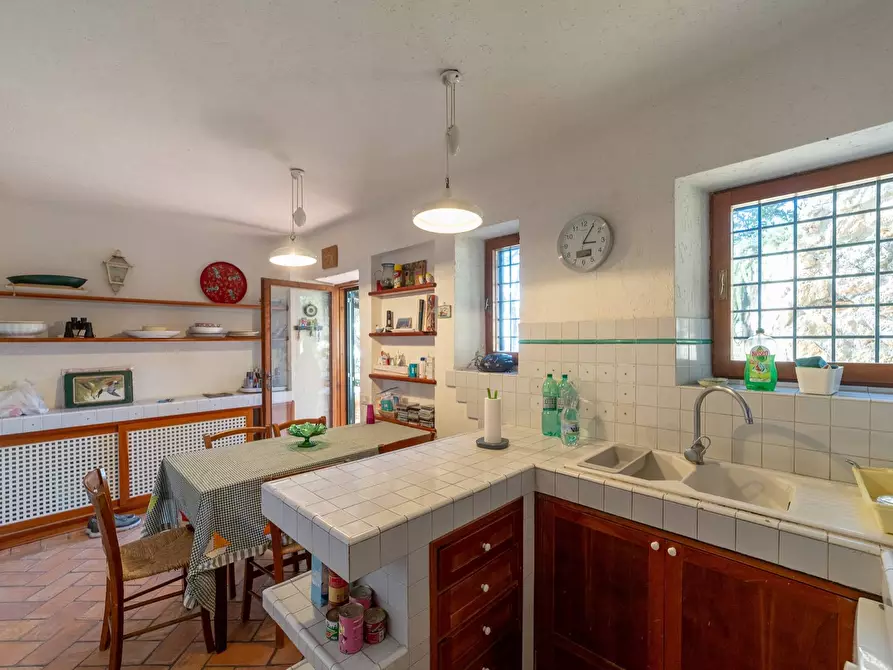 Immagine 17 di Villa in affitto  in Località Cala Piccola snc a Monte Argentario