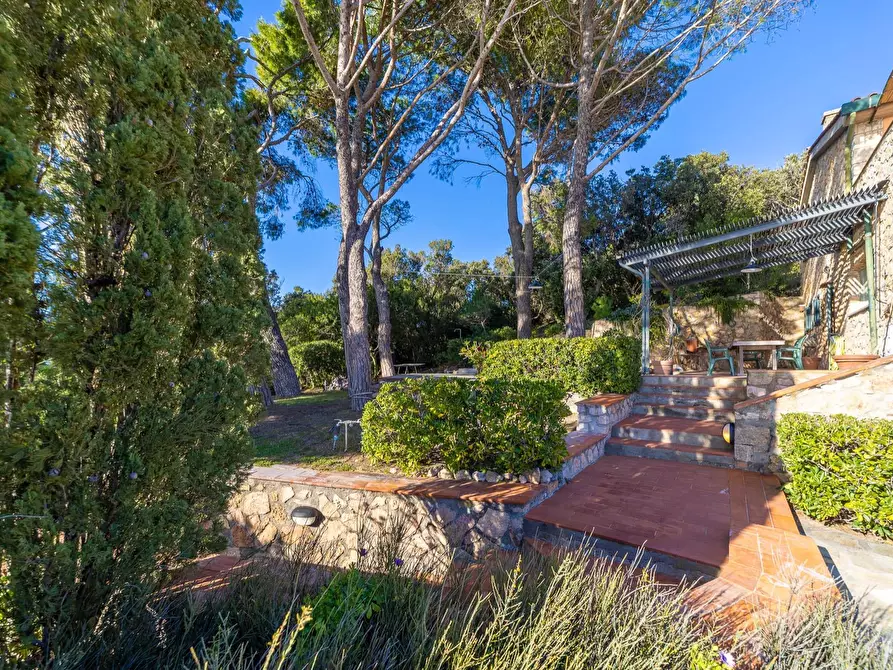 Immagine 34 di Villa in affitto  in Località Cala Piccola snc a Monte Argentario