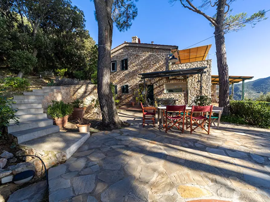 Immagine 36 di Villa in affitto  in Località Cala Piccola snc a Monte Argentario