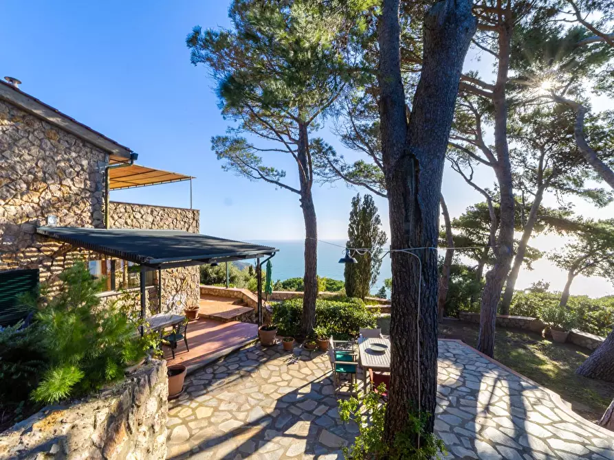 Immagine 37 di Villa in affitto  in Località Cala Piccola snc a Monte Argentario