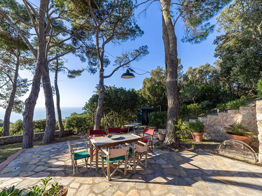 Immagine 35 di Villa in affitto  in Località Cala Piccola snc a Monte Argentario