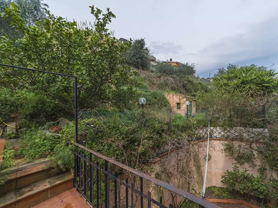 Immagine 21 di Appartamento in vendita  in via dei egrani a Monte Argentario