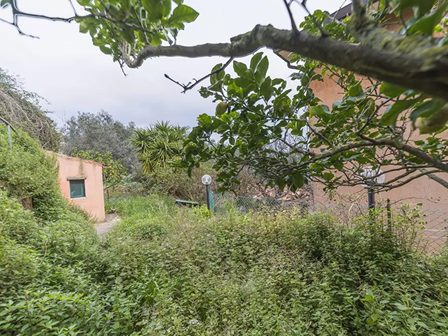 Immagine 22 di Appartamento in vendita  in via dei egrani a Monte Argentario