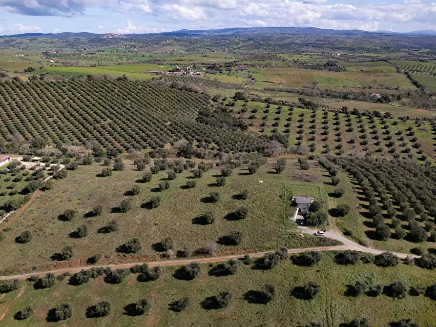 Immagine 12 di Terreno agricolo in vendita  in località la marta a Orbetello