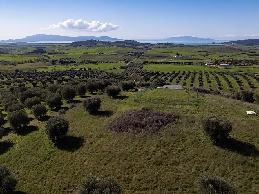 Immagine 4 di Terreno agricolo in vendita  in località la marta a Orbetello