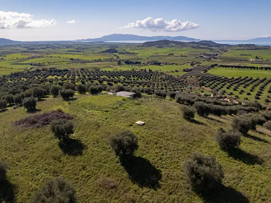 Immagine 16 di Terreno agricolo in vendita  in località la marta a Orbetello