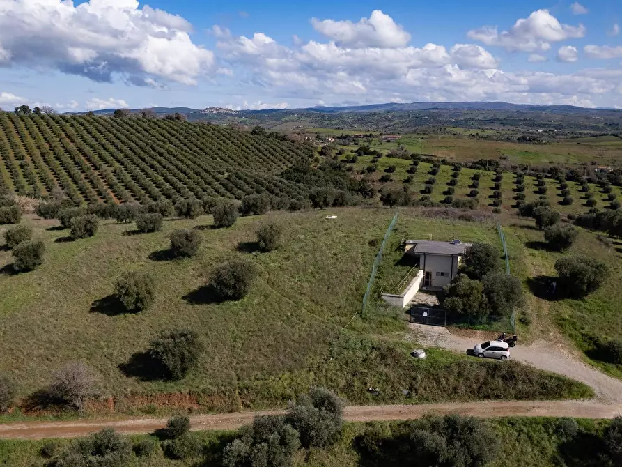 Immagine 17 di Terreno agricolo in vendita  in località la marta a Orbetello