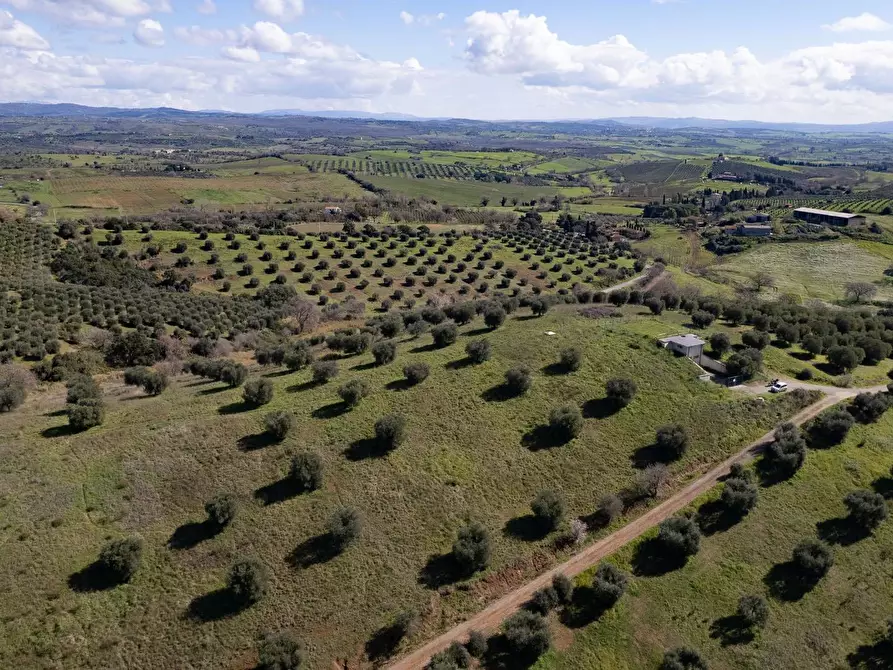 Immagine 18 di Terreno agricolo in vendita  in località la marta a Orbetello