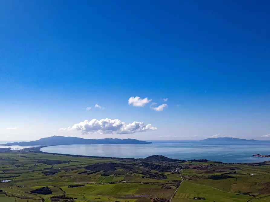 Immagine 20 di Terreno agricolo in vendita  in località la marta a Orbetello