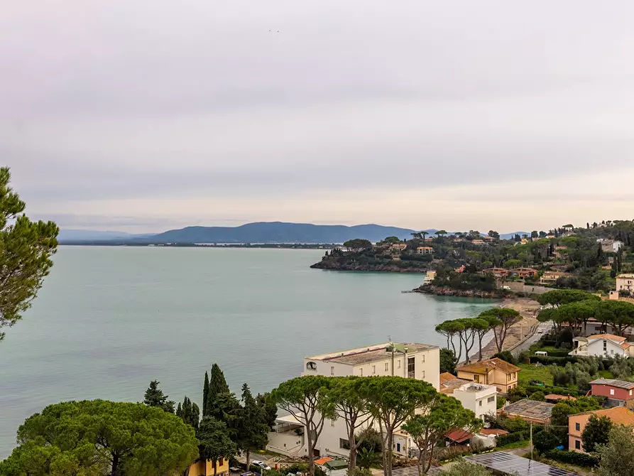Immagine 3 di Casa semindipendente in vendita  in Località Forconata snc a Monte Argentario