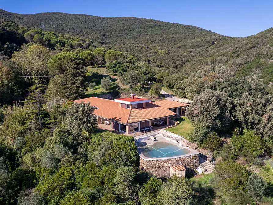 Immagine 2 di Villa in affitto  in Strada di San Domenico snc a Monte Argentario