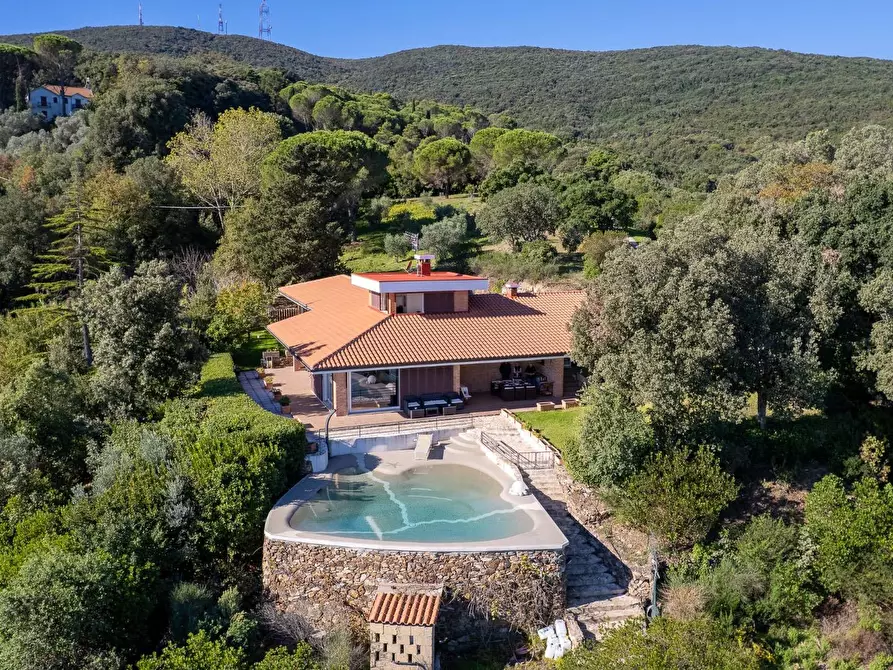 Immagine 4 di Villa in affitto  in Strada di San Domenico snc a Monte Argentario