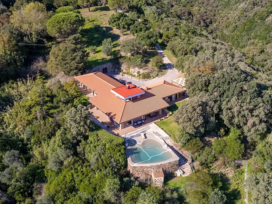Immagine 6 di Villa in affitto  in Strada di San Domenico snc a Monte Argentario