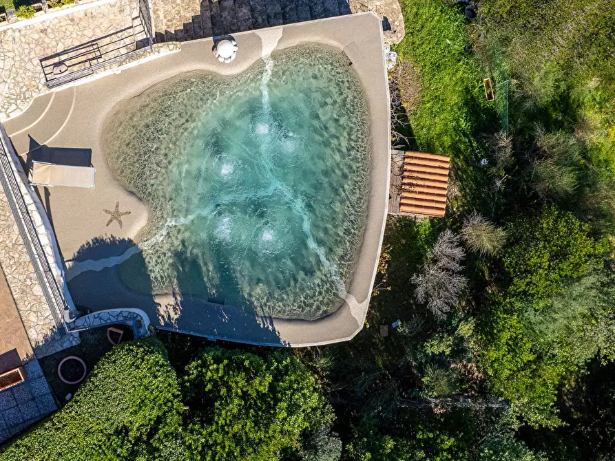 Immagine 9 di Villa in affitto  in Strada di San Domenico snc a Monte Argentario