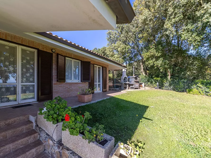 Immagine 17 di Villa in affitto  in Strada di San Domenico snc a Monte Argentario